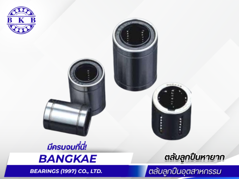 ศูนย์รวมตลับลูกปืนเม็ดกลม เม็ดลูกกลิ้ง และชุดเต้าลูกปืนครบวงจร